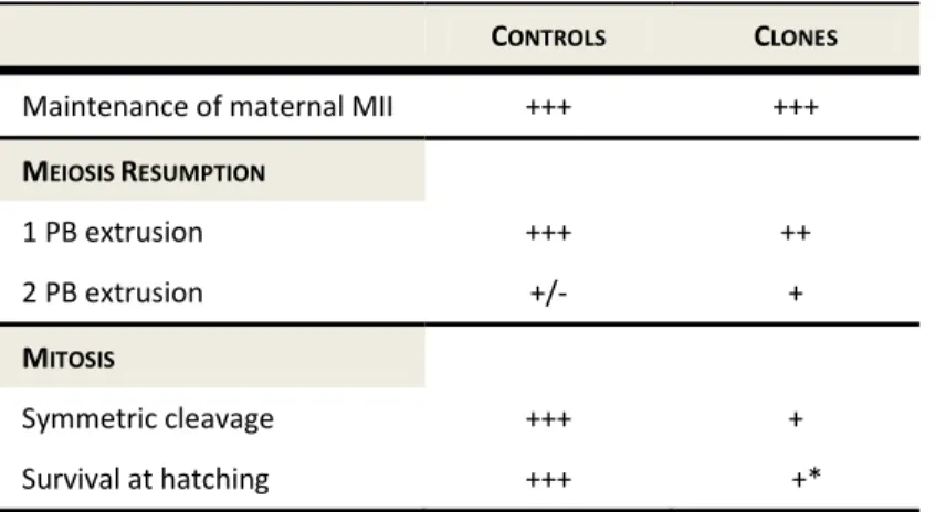 Figure 8. Identification of fragmented DNA on the cleavage furrow of the clones. Embryos were fixed,  and cut into 7 µm sections