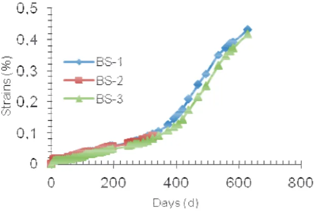 Figure 5 shows the expansions of BS-cement-based  specimens which underwent an electric current, and the  control specimens (BS-4 and BS-5 with no  treatment).