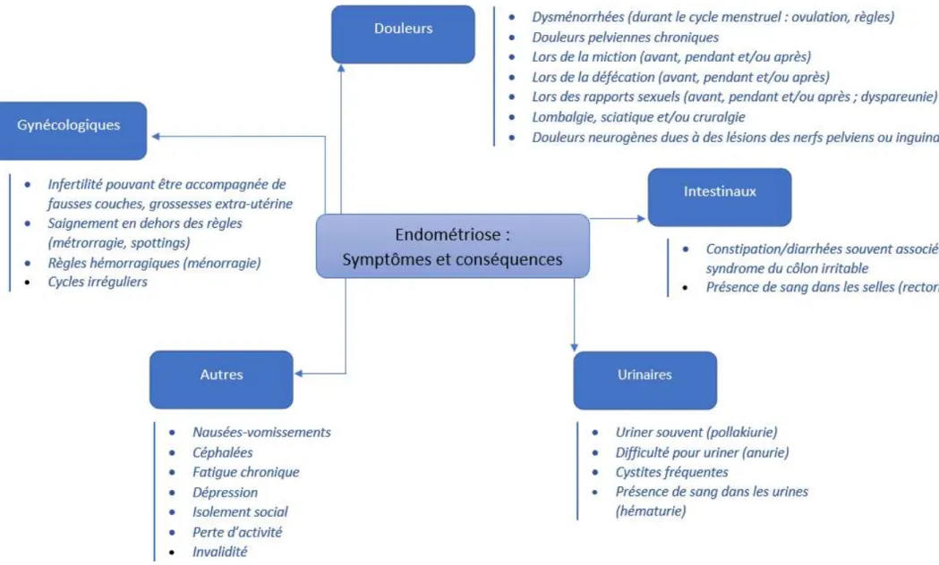Figure 1. Résumé sur les symptômes et conséquences de l’endométriose 