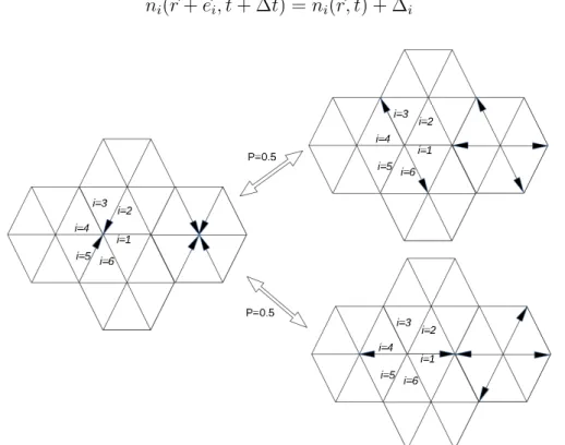 Figure 2.2: FHP model: two possible results of head on particles collision, showing the regular of hexagonal symmetry.