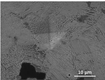 Fig. 4  Example of an indentation as seen in the  SEM 