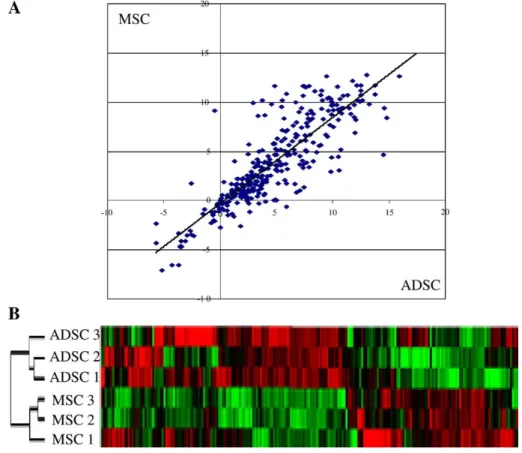 Fig. 3 – Differential gene expression between MSC and ADSC. A) Correlation analysis between the levels of gene expression in ADSC and BM-MSC performed using Taqman Low density Array