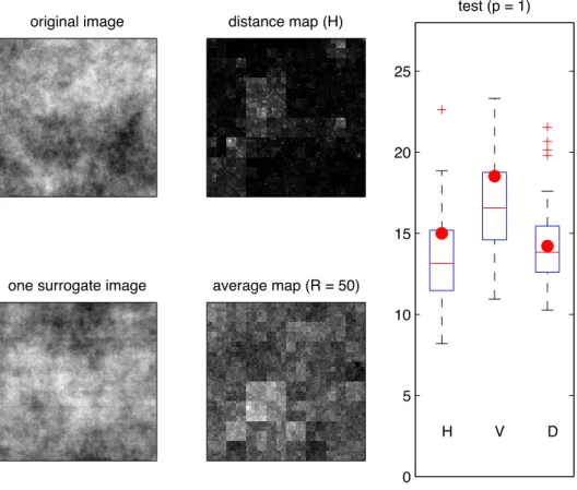 Figure 4. Same as in Fig. 2, but in the case of a 2D fractional Brownian motion with Hurst exponent H = 0 