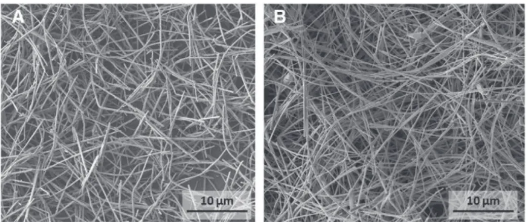 Fig. 3 shows the SEM images of the Ag NWs composite for 3 vol%.