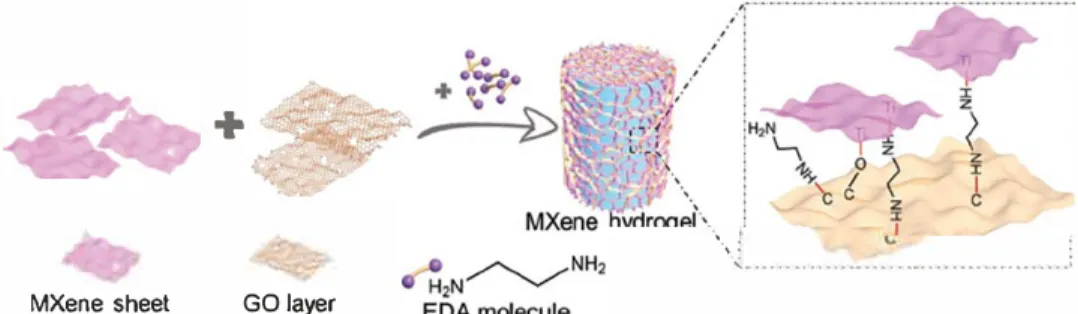 Figure 1.  Schematic illustration of the formation process of MXene hydrogel. 