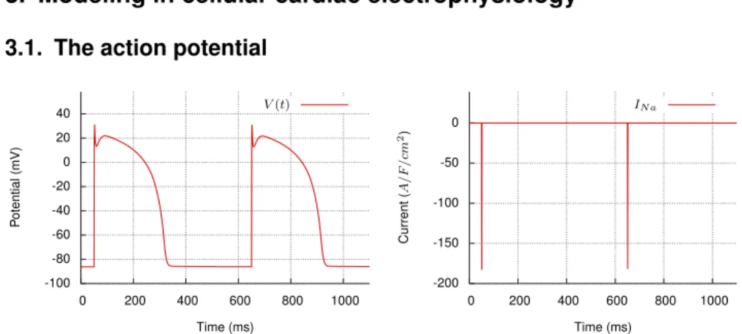 Figure 1 – BR Model [1] illustration. Left, two cellular action potentials : starting at a negative resting value, the transmembrane voltage V (t) has a stiff depolarization followed by a plateau and repolarizing to the resting value