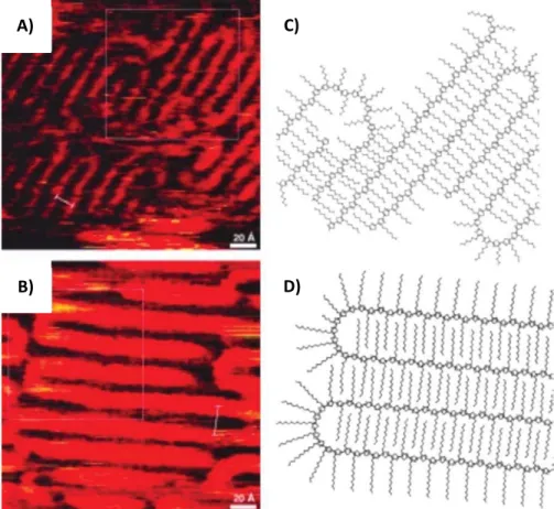 Figure 1.6.  A&amp;B) STM images showing chain folding in regioregular poly(alkyl thiophenes) epitaxially oriented  on HOPG