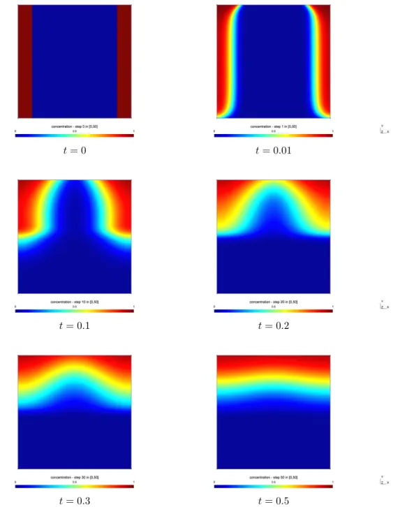 Figure 3. Evolution of the volume fraction u 0 along time.