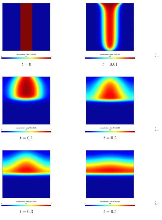 Figure 4. Evolution of the volume fraction u 1 along time.