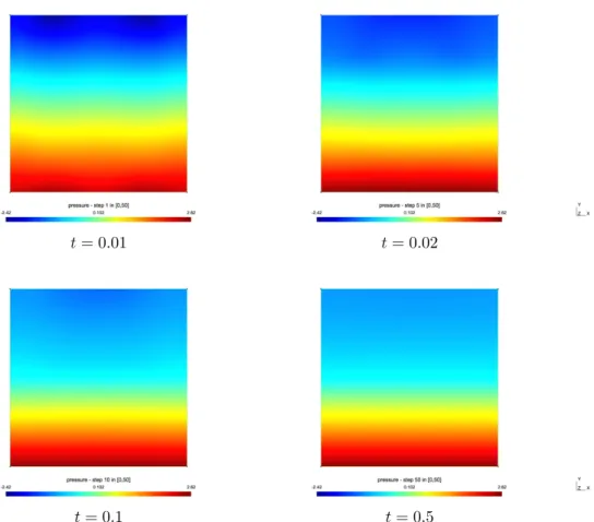 Figure 6. Evolution of the Lagrange multiplier π along time.