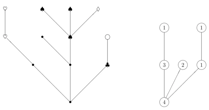 Figure 1: Genealogical tree with mutations (left) and tree of alleles (right). The symbols