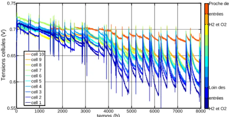 Fig.  5  présente  l’évolution  reconstituée  de  la  tension  du  stack  au  cours  du  temps  à  1A/cm²  (les  plages  à  1A/cm²  sont  accolées  les  unes  aux  autres pour  n’avoir plus que  l’image  de  l’évolution de la tension à ce courant)