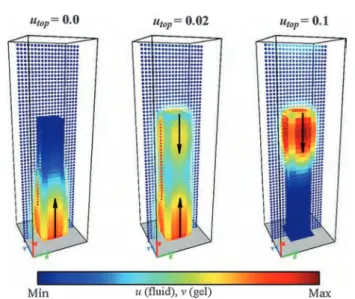 Fig. 7 Late time snapshots of BZ cilium (6  6  30 nodes) immersed in solution; the activator concentration is specified at the top boundary of the box (u = u top ) and is maintained at u = 0 at all the other fluid boundaries