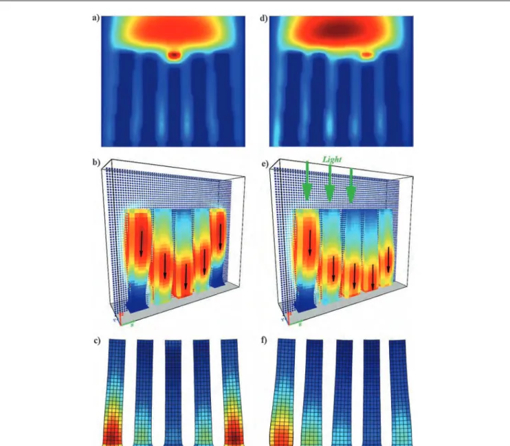 Fig. 9 Dynamics of the five cilia system. The size of the simulation box is 69  20  63 (in x, y and z directions) with d = 3.5 and b = 5.5