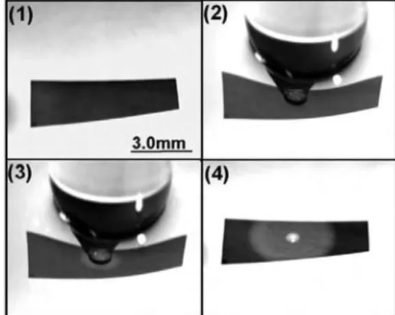Fig. 3 Induction of chemical waves by mechanical stimulation in elastic BZ media based on Nafion membrane loaded with the catalyst ferroin