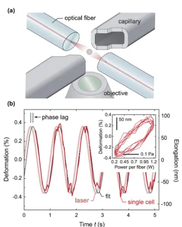 Fig. 2 (a) Optical stretching (OS) in the frequency domain measures whole-cell mechanics in the suspended state, absent physical contact with any probe or substratum