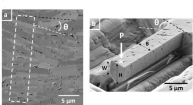 Figure 1 : Nacre-like alumina: (a) optical micrograph of a notch tip after  the SENB specimen failure, with an important crack deflection from the  notch;  (b)  SEM  image  of  a  fracture  surface