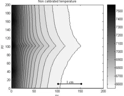 Figure 7: steady temperature field in the case of 1000 µl/h flow rate 