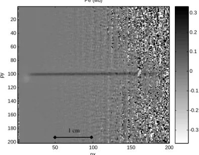 Figure 10-a: Peclet field estimation (global field at 1000 µl/h) 