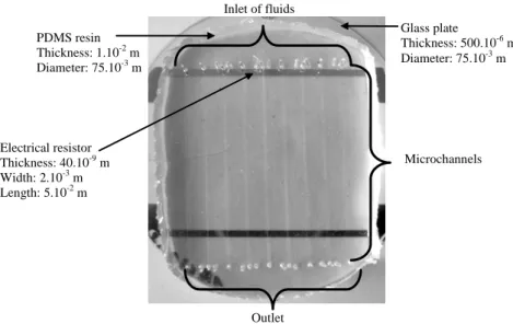 Figure 1: Microfluidic chip, view from the PDMS side. 