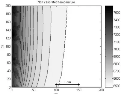 Figure 5: Steady temperature field when no fluid flows inside the channel. 
