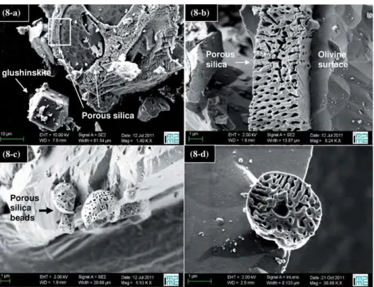 Fig. 8. FEG-SEM images of solid particles after 1 h of reaction (3 g l −1 slurry with 0.1 M oxalate salt, under 120 ◦ C and 20 bar of CO 2 )