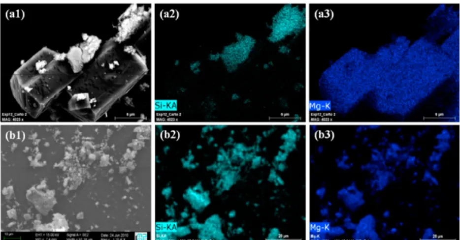 Figure 1. Example of SEM/EDX images for reaction products with 0.1M oxalate. (a): 3 g/L water  case, (b) 250 g/L water  case