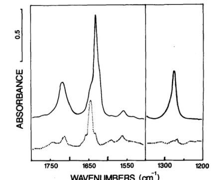 Fig. 3.  NO reaction products from 7-oxidized LLDPE. 20 Mrad ),-initiated radiation. FTIR  spectra  generated  as  in  Fig
