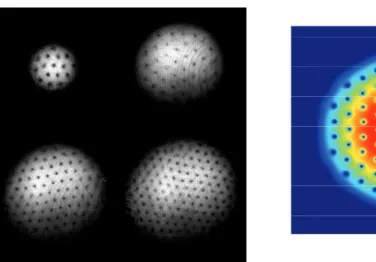 Figure 10. Left: Experimental pictures of fast rotating Bose-Einstein condensates: the number of vortices increases with the rotation velocity