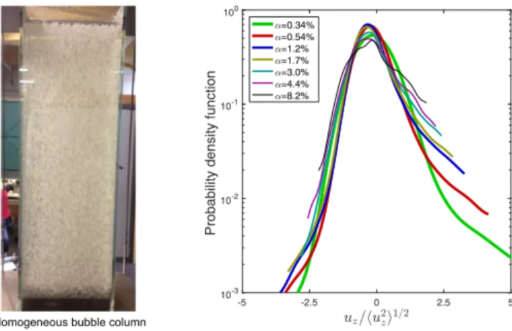 Fig. 1 Homogeneous bubble column. To the right: picture. To the left: probability density function of the vertical liquid velocity fluctuations for various gas volume fractions α from [4].