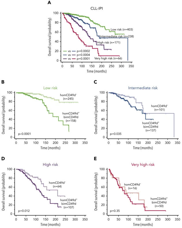 Figure 5. Clinical impact of CD49d expression in the context of CLL-IPI categories. (A) OS Kaplan-Meier curves of CLL cases split in the 4 risk categories of the CLL IPI