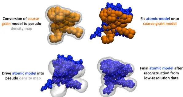 Figure 5A: BioSpring protocol for the atomic reconstruction of the low-resolution  model obtained from interactive flexible docking.(Top left) The final position of the  coarse-grain aENM in the molecular complex converted into a pseudo density map
