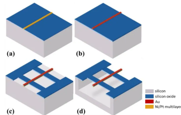 Figure 1 (b) present a Scanning Electron Microscopy image  of  the  sensitive  part  of  the  sensor  corresponding  to  the  schematic