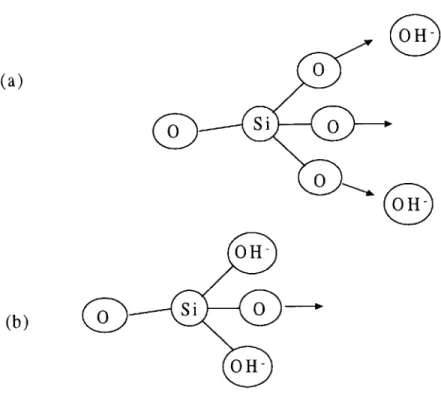 Figure  1.5:  Rupture  of  the  second  and  third  siloxane  bridges.  (a)  Approach  of hydroxyl  ions;  (b)  Rupture of siloxane  bridges  and  replacement  with silanol  bridges.