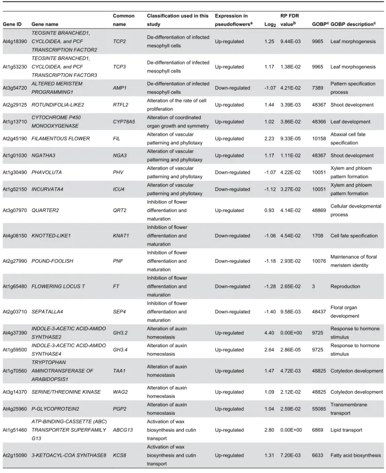 Table 1. Arabidopsis thaliana homologs of Boechera stricta genes with altered expression in pseudoflowers.