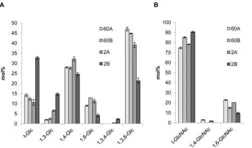 Figure 2. Linkage analysis of glucan-chitosaccharide fractions. The glycosidic linkages were identified by electron-impact mass spectrometry.