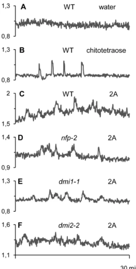 Figure 6. Nuclear Ca 2+ variations in Medicago truncatula root epidermal cells in response to glucan-chitosaccharide  frac-tions