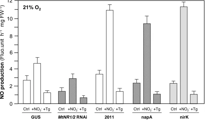 Figure S3: NO production by M. truncatula GUS and nr1/nr2 , and by S. meliloti 2011, napA and nirK nodules under 21% O2