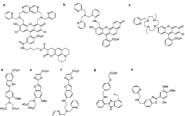 Figure  3-3. Structures  of  small-molecule ratiometric  Zn 2+ probes.  (a) Coumazin; 3 7 (b) ZNP1  ;38 (c)  RF-1;39 (d)  IndoZin; 27 (e)  FuraZin; 27 (f)  ZnAF-R2; 4 ° (g)   2-(2'-benzenesulfonamidophenyl)-benzimidazole; 4 1  (h) Zinbo-5