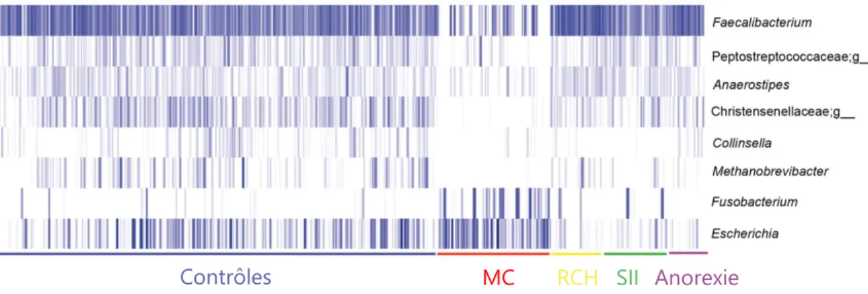 Figure 13 : Signature bactérienne de la MC basée sur 8 genres bactériens.