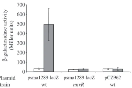 Fig. 2 Expression of the sma1289-lacZ fusion in Sinorhizobium meliloti cultures. Wild type (wt) (GMI11495) or nnrR (CBT515) S.