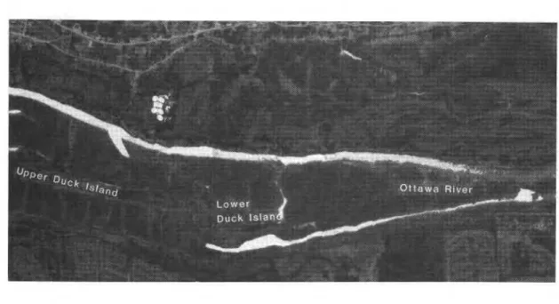 Figure  4.  January 16, 1984 thermal infrared image.  As  this  image  shows, most  of  the  river had  frozen over