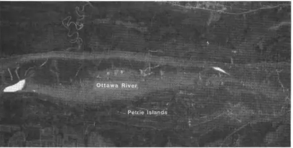 Figure 5.  January 16, 1984 thermal infrared image.  As  with the other areas of  the river, the warm  open water  and thin ice areas have decreased and the cracks across  the river are apparent