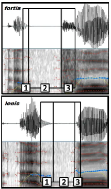 Figure 4: Percentage of consonant graphemes matching the phonemes, in terms of phonological oppositions