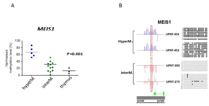 Figure S2: Validation of the methylation levels. A) Methylation of the MEIS1 promoter was  assessed by qPCR analyses of MeDIP on a subset of hyperM and interM T-ALL samples, along  with  human  thymus