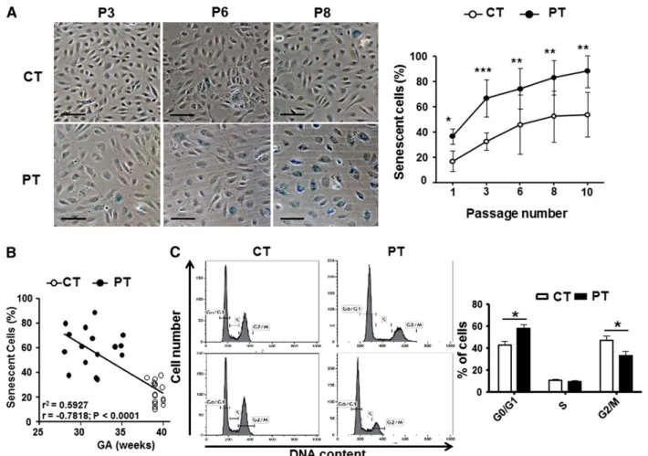 Figure 1. PT birth accelerates cellular senescence and proliferative arrest of ECFCs. SA-b-gal activity and cell-cycle analyses were assessed as markers of cellular senescence
