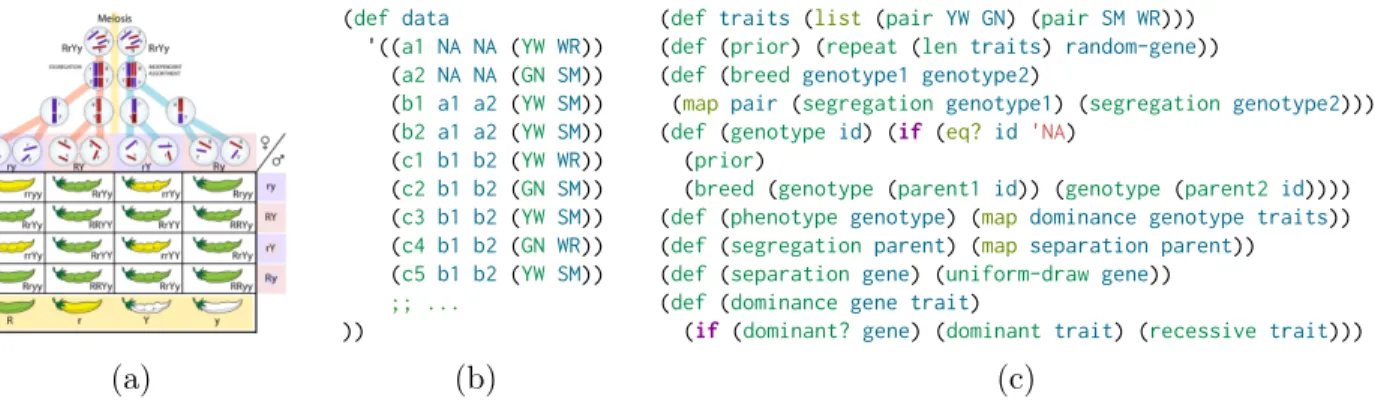 Figure 2-6: Mapping Mendelian inheritance to code: (a) an overview of Mendelian inheri- inheri-tance; (b–c) Mendelian inheritance in Church