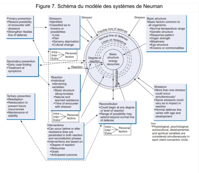 Figure 7. Schéma du modèle des systèmes de Neuman 