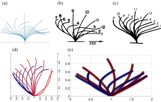 Figure 5.5: Trajectory followed by cilia motion for which each panel is representative of a model posed in the literature: (a) Fauci and Dillon (2006), (b) Gheber and Priel (1997), (c) Sanderson and Sleigh (1981) (culture of rabbit cells), and (d) Mitran (