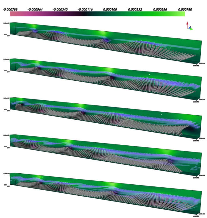 Figure 5.7: Snapshots of the mucus propulsion by a carpet of 300 ciliated epithelium cells at five different times